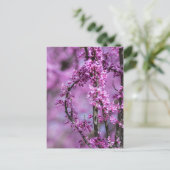 Carte Postale Avondale Redbud Art (Debout devant)