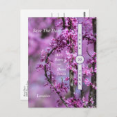 Carte Postale Avondale Redbud Art Enregistrer La Date (Devant / Derrière)