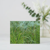 CARTE POSTALE AVRIL (Debout devant)