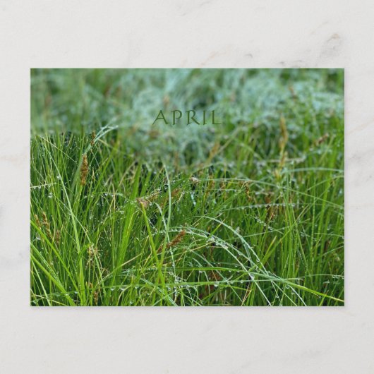 CARTE POSTALE AVRIL (Devant)