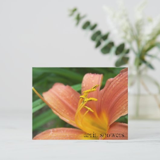 Carte postale Avril Douches (Debout devant)