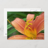 Carte postale Avril Douches (Devant / Derrière)