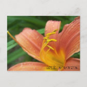 Carte postale Avril Douches (Devant)