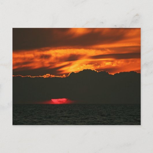 Carte Postale Awe et Wonder (Devant)