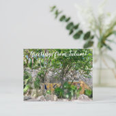 Carte Postale aWorld2Celebrate : Salutations de Tulum! (Debout devant)