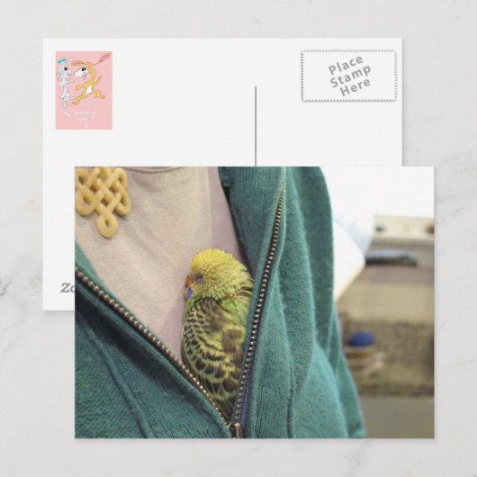 Carte Postale Awwww, So Mignon ! ! ! ! ! ! ! ! ! ! (Devant / Derrière)