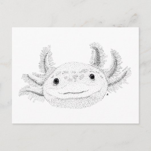 Carte Postale Axolotl (Devant)