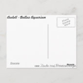 Carte Postale Axolotl # 2 (Dos)