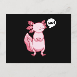 Carte Postale Axolotl Avec Animal Stuffé En Style Kawaii