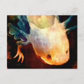 Carte Postale Axolotl Sun (Devant)