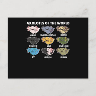 Carte Postale Axolotls Du Monde Sweet Animaux Axolotl