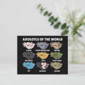 Carte Postale Axolotls Du Monde Sweet Animaux Axolotl Post (Debout devant)