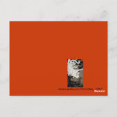 Carte Postale Ayez pitié de moi, ô Dieu, aie pitié de moi (Dos)