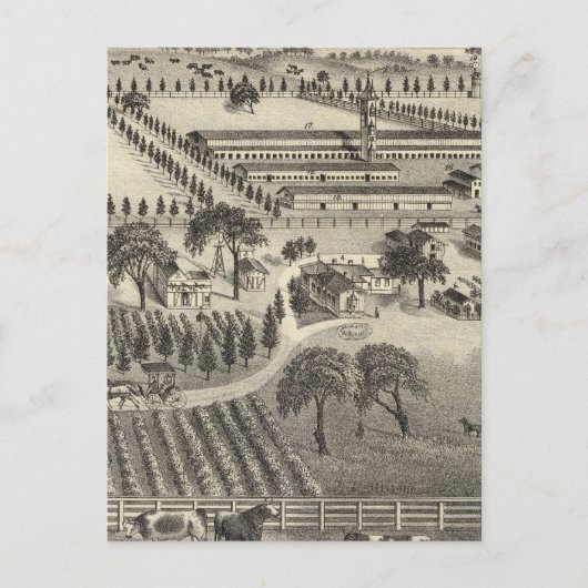 Carte Postale Ayrshire Farm (Devant)