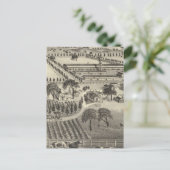 Carte Postale Ayrshire Farm (Debout devant)