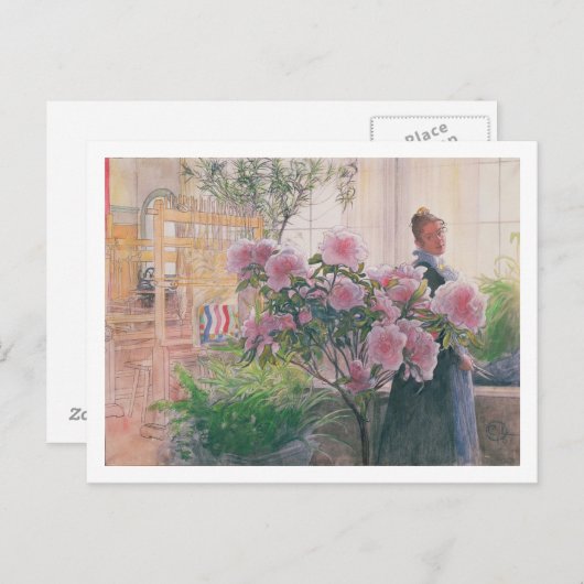 Carte Postale Azalea, 1906 (w/c sur paper) (Devant / Derrière)