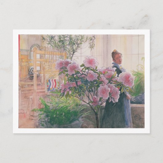 Carte Postale Azalea, 1906 (w/c sur paper) (Devant)