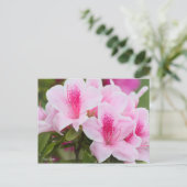 Carte Postale Azalea [Carte postale] (Debout devant)