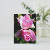 Carte Postale Azalea rose (Debout devant)