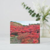 Carte Postale Azalea Scenery [Carte postale] (Debout devant)
