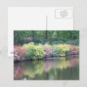 Carte Postale Azaleas (Devant / Derrière)