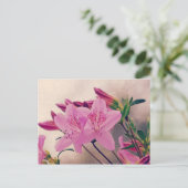 Carte Postale Azaleas (Debout devant)