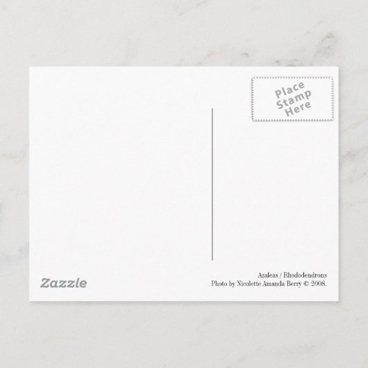 Carte Postale Azaleas / Rhododendrons en B&W (Dos)