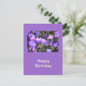 Carte Postale azalée puple buisson fleuri (Debout devant)