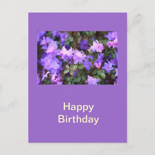 Carte Postale azalée puple buisson fleuri (Devant)