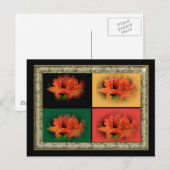 Carte Postale Azalées orange (Devant / Derrière)