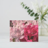 Carte Postale Azalées roses (Debout devant)