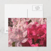 Carte Postale Azalées roses (Devant / Derrière)