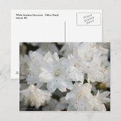 Carte Postale Azalés blancs 2008 (Devant / Derrière)