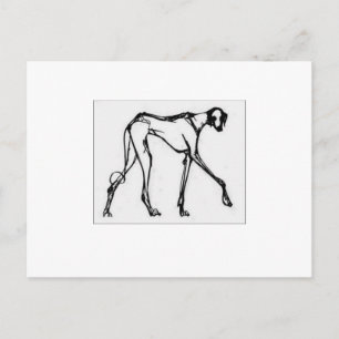 Carte postale Azawakh 2