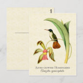 Carte Postale Azure Crowne Hummingbird Art Vintage (Devant / Derrière)