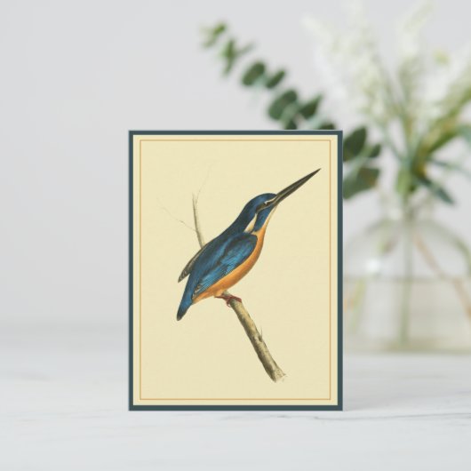 Carte Postale Azure Kingfisher (Debout devant)