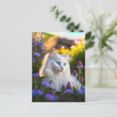 Carte postale Azure the Turkish Angora Cat (Debout devant)