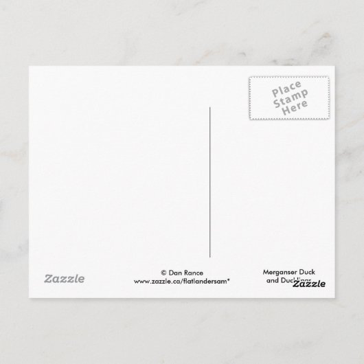 Carte Postale B17 Canard et canettes à fusil (Dos)