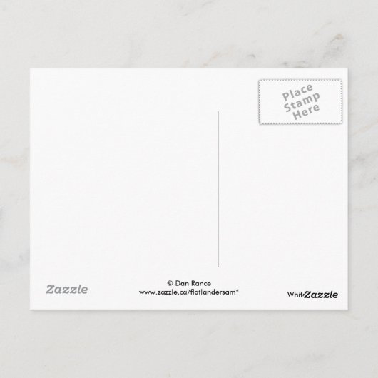 Carte Postale B4 Pélican blanc (Dos)