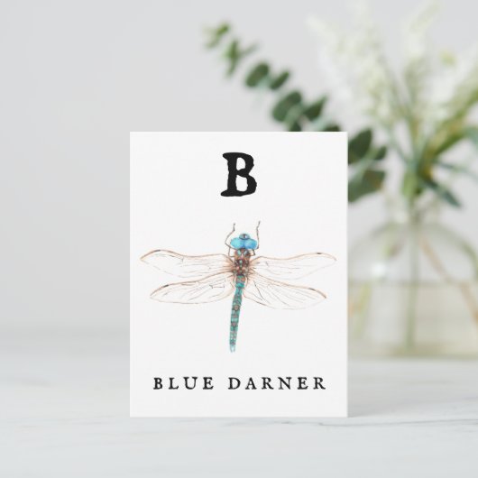 Carte Postale "B" Bleu Darner (Debout devant)