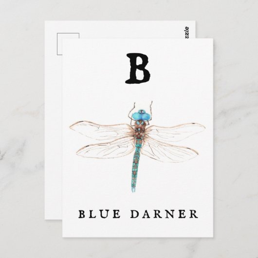 Carte Postale "B" Bleu Darner (Devant / Derrière)