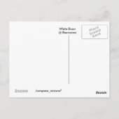 Carte Postale B E A R I Z O N Bison Blanc (Dos)