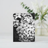 CARTE POSTALE B&W (Debout devant)