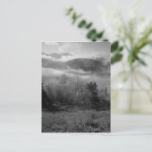 Carte Postale B&W Aspen 3 (Debout devant)