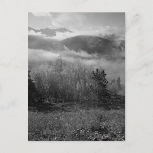 Carte Postale B&W Aspen 3 (Devant)