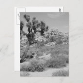 Carte Postale B&W Joshua Tree National Park 3 (Devant / Derrière)