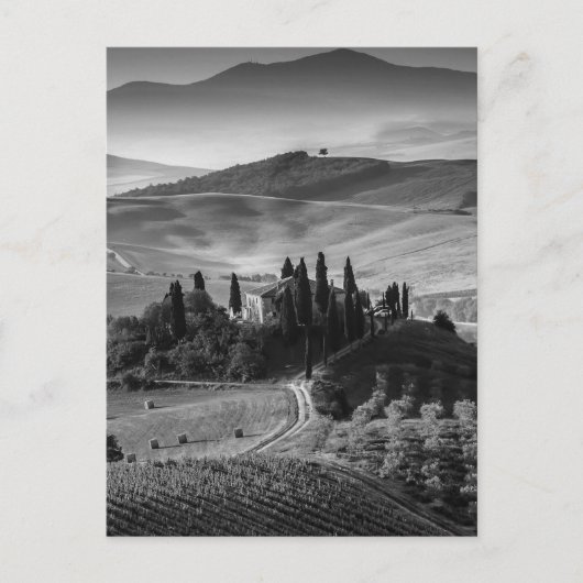 Carte Postale B&W Toscane (Devant)