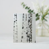 Carte Postale B&W Trees (Debout devant)