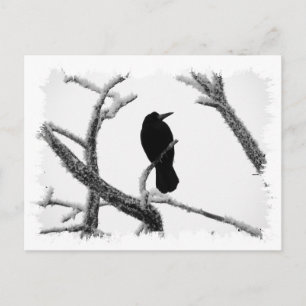 Carte Postale B&W Winter Raven Edgar Allan Poe