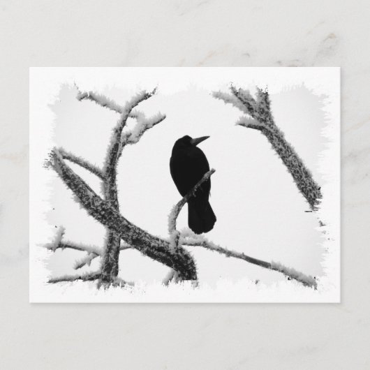 Carte Postale B&W Winter Raven Edgar Allan Poe (Devant)
